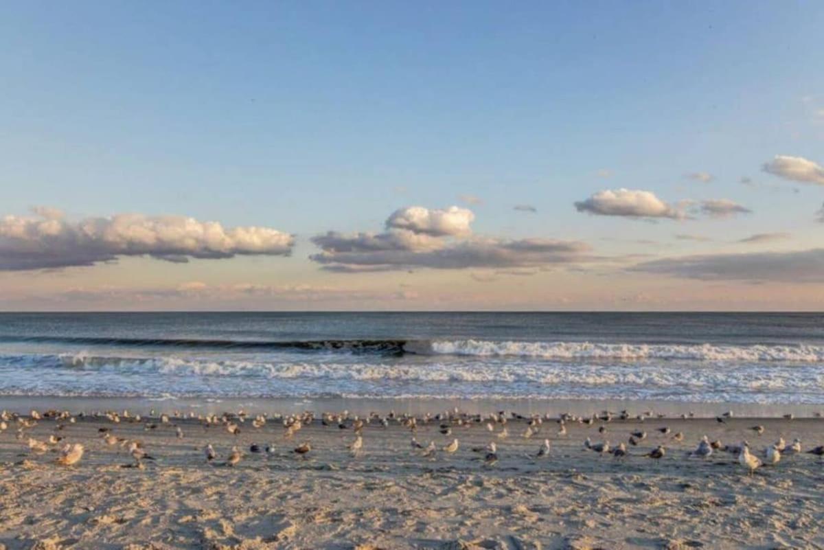 *Delightful Beach Condo*Pool, Steps To The Sand*H33 Myrtle Beach Exterior photo